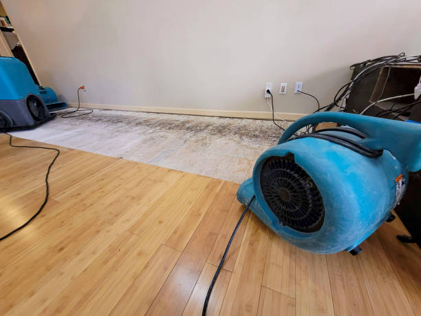 Reliable Basement Flood Cleanup contractor in Waterloo, WI by Hirex Water Damage