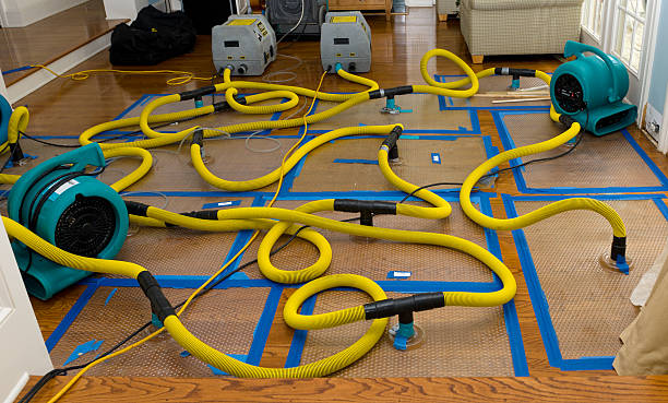 Professional Basement Flood Cleanup technician working in Waterloo, WI
